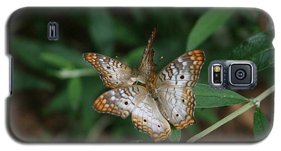 White Galaxy S5 Case featuring the photograph White Peacock Butterflies by Cathy Harper