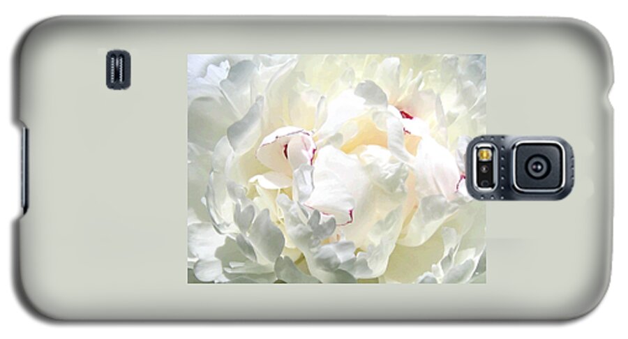 White Peony Galaxy S5 Case featuring the photograph White Peony by Will Borden