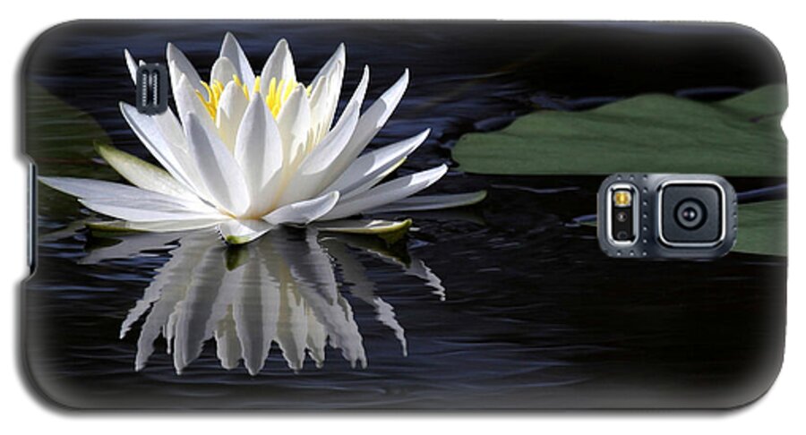 Water Lily Galaxy S5 Case featuring the photograph White Water Lily Left by Sabrina L Ryan