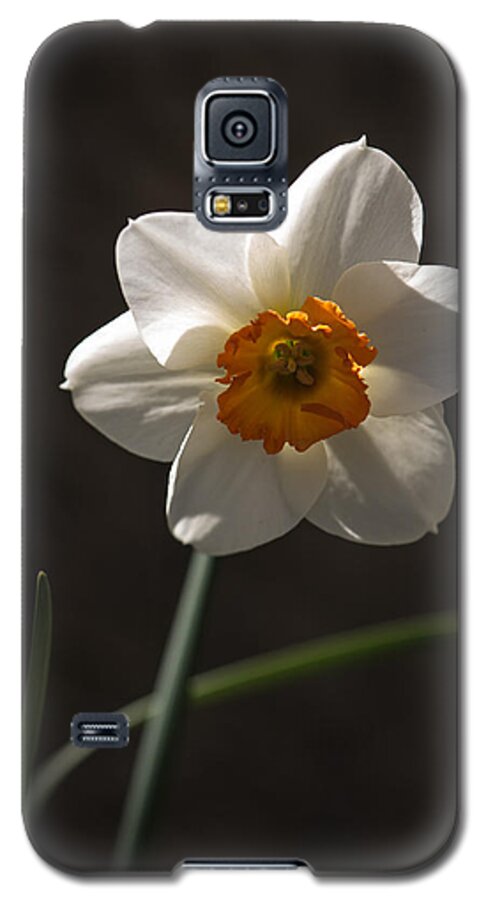 Flower Galaxy S5 Case featuring the photograph White Yellow Daffodil by Robert Mitchell