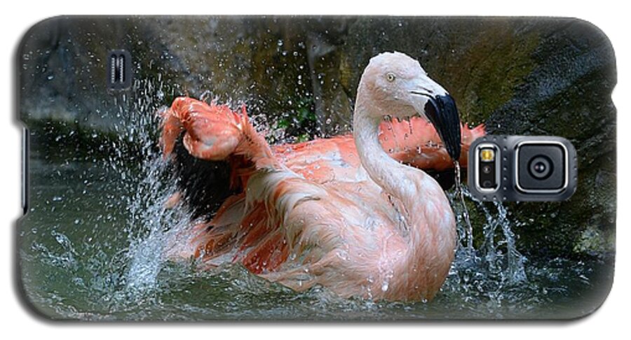 Flamingo Galaxy S5 Case featuring the photograph Whole Lot Of Shaking Going On 2 by Fraida Gutovich