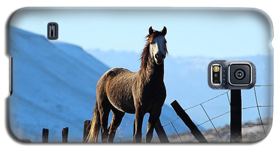 Wild Horse Galaxy S5 Case featuring the photograph Wild beauty by Lynn Hopwood