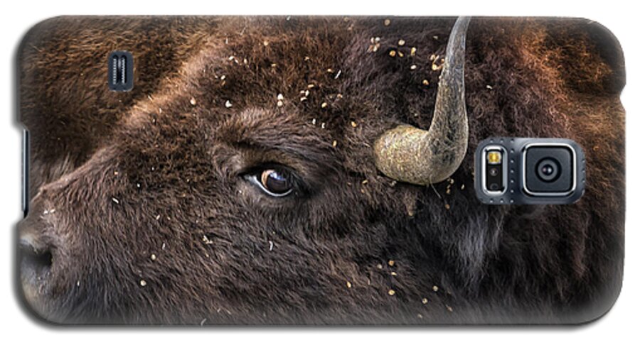 Bison Galaxy S5 Case featuring the photograph Wild Eye - Bison - Yellowstone by Belinda Greb