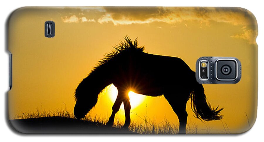 Horse Galaxy S5 Case featuring the photograph Wild Horse and Setting Sun by Bob Decker