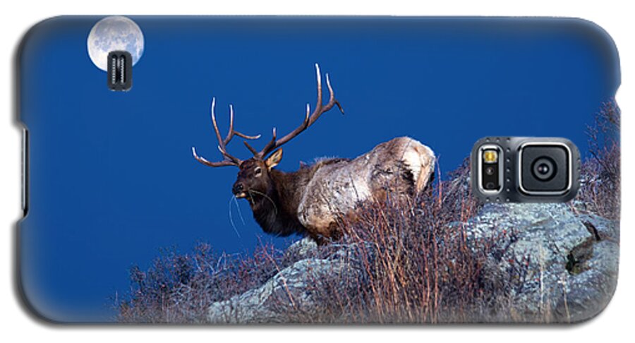 Elk Galaxy S5 Case featuring the photograph Wild Moon by Shane Bechler
