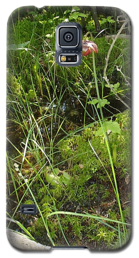 Plant Galaxy S5 Case featuring the photograph Wildflower 1 by Robert Nickologianis