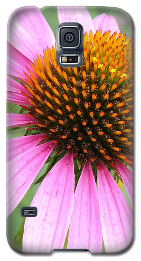 Purple Coneflower Galaxy S5 Case featuring the photograph Wildflower in Profile by Anita Oakley