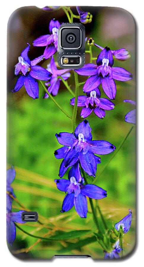 Larkspur Wildflowers Galaxy S5 Case featuring the photograph Wildflower Larkspur by Ed Riche
