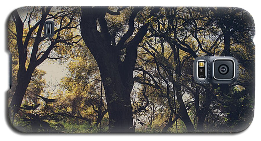 Dry Creek Hills Regional Park Galaxy S5 Case featuring the photograph Wildly and Desperately My Arms Reached Out to You by Laurie Search