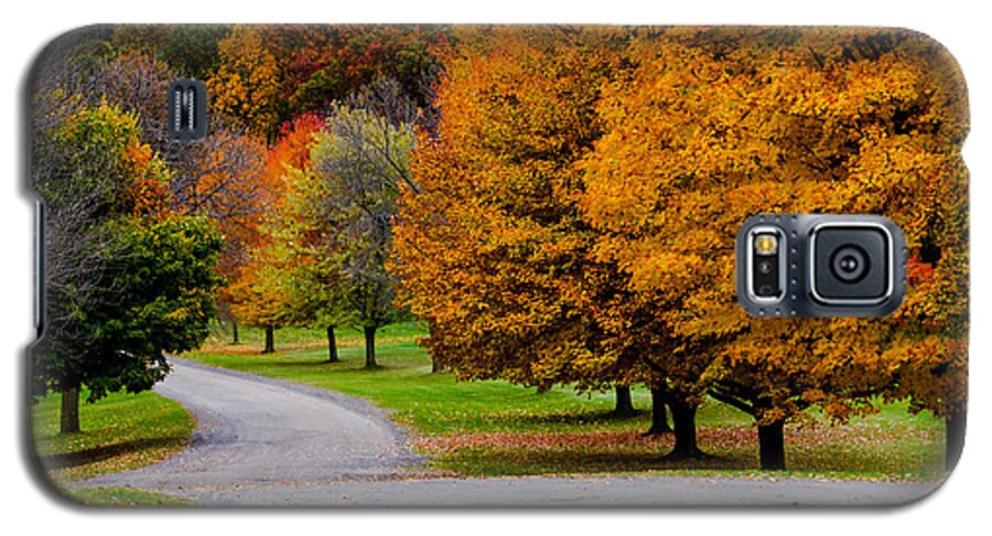 Mendon Ponds Galaxy S5 Case featuring the photograph Winding Road by William Norton