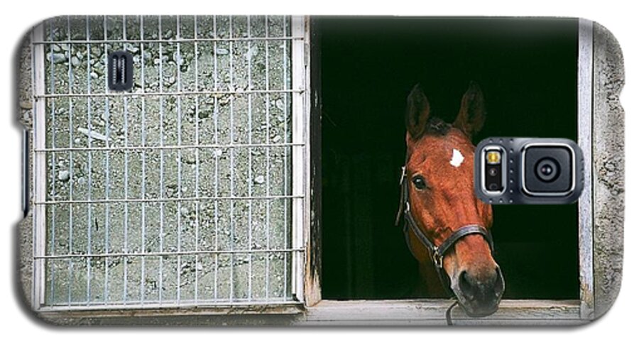 Horse Galaxy S5 Case featuring the photograph Window View by David Porteus