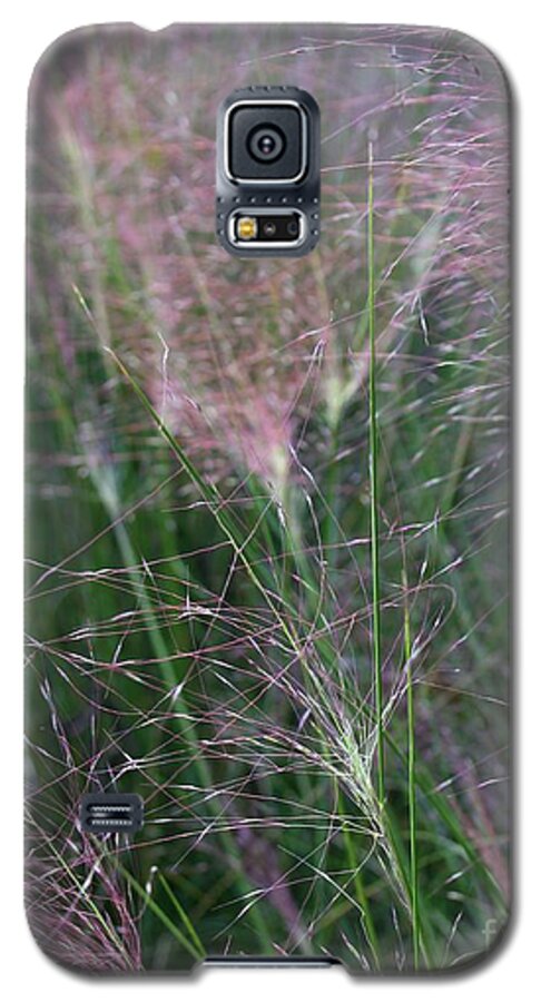 Pink Muhly Grass Galaxy S5 Case featuring the photograph Windsong by Geri Glavis