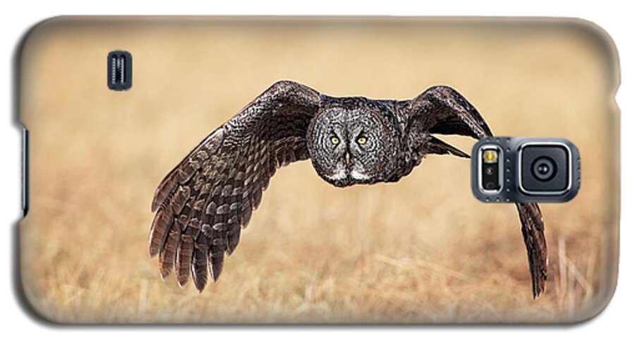 Great Grey Owl Galaxy S5 Case featuring the photograph Wings of Motion by Daniel Behm