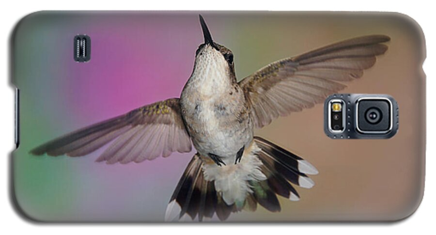 Ruby-throated Hummingbird Galaxy S5 Case featuring the photograph Wingspread by Leda Robertson