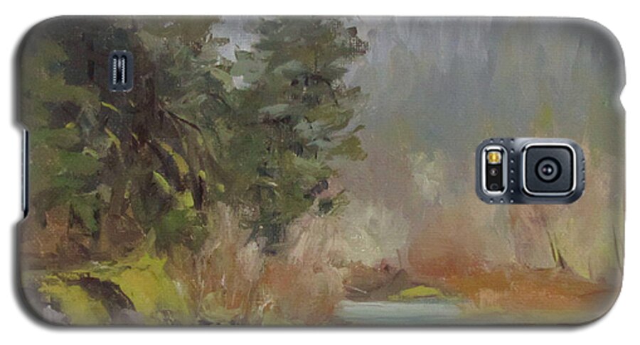 Plein Air Galaxy S5 Case featuring the painting Winter at Swiftwater by Karen Ilari