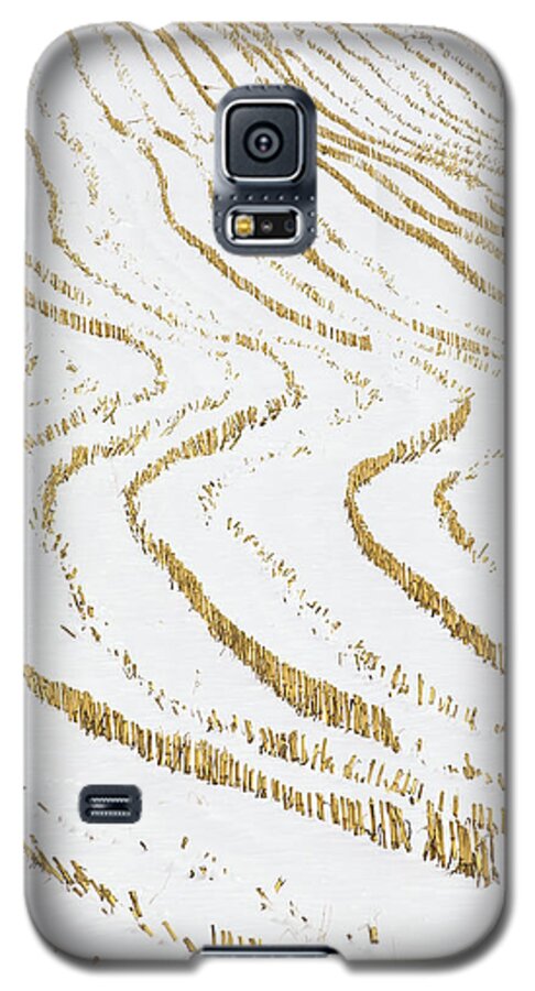 Winter Galaxy S5 Case featuring the photograph Winter Cornfield by Alan L Graham