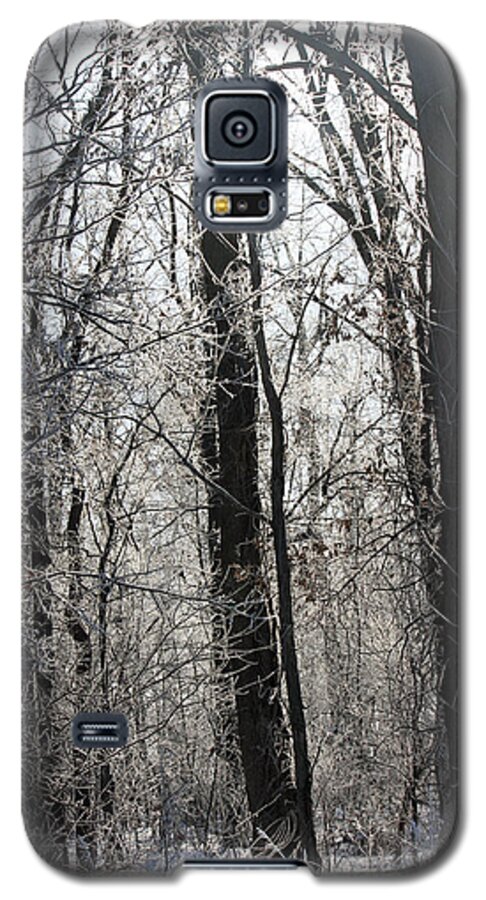 Forest Galaxy S5 Case featuring the photograph Winter Forest by Jackson Pearson