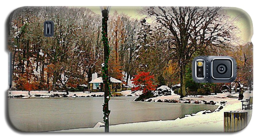 Binney Park Galaxy S5 Case featuring the photograph Winter In The Park by Judy Palkimas