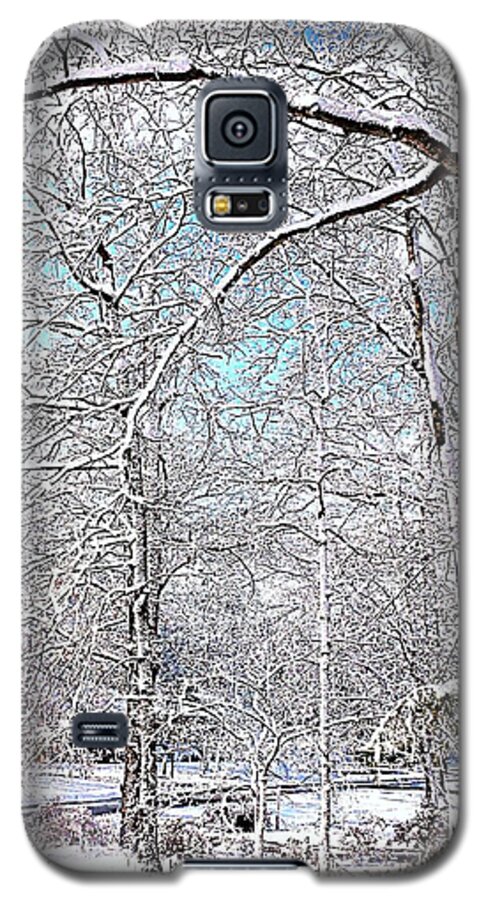 Snow Galaxy S5 Case featuring the photograph Winter On A Spring Day by Pamela Hyde Wilson
