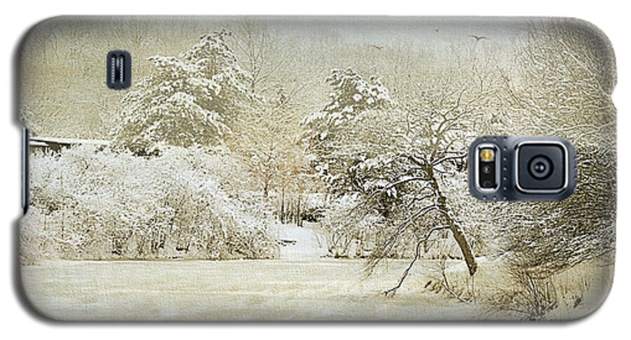 Winter Galaxy S5 Case featuring the photograph Winter Silence by Julie Palencia