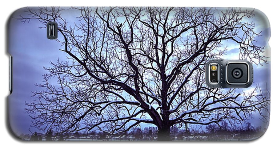 Tree Galaxy S5 Case featuring the photograph Winter Twilight Tree by Jaki Miller