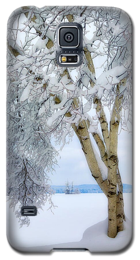 Winter Galaxy S5 Case featuring the photograph Winter's Dream by Darylann Leonard Photography