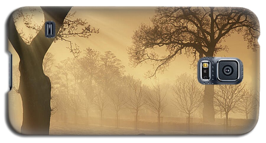 Warm Galaxy S5 Case featuring the photograph Winter's Gold by Edmund Nagele FRPS