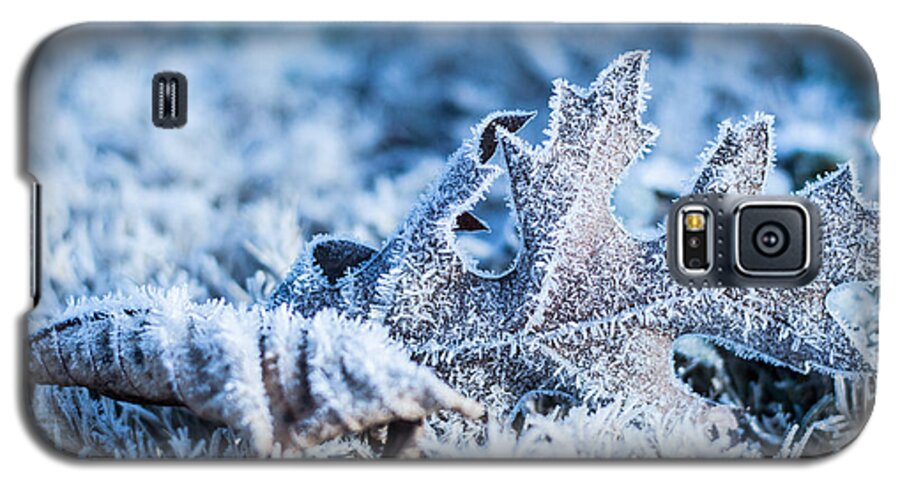 Ice Galaxy S5 Case featuring the photograph Winter's Icy Grip by Parker Cunningham