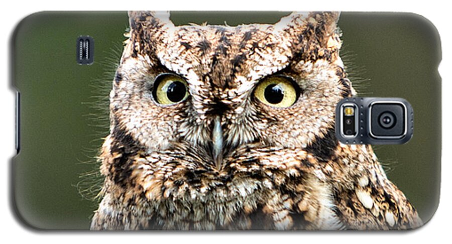 Animals Galaxy S5 Case featuring the photograph Wise Eyes by Mary Jo Allen