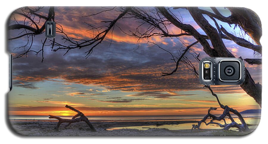 Landscape Galaxy S5 Case featuring the photograph Wishing Branch Sunset by Mathias 