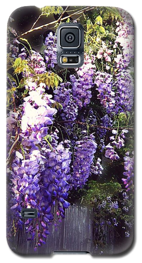 Wisteria Galaxy S5 Case featuring the photograph Wisteria dreaming by Leanne Seymour