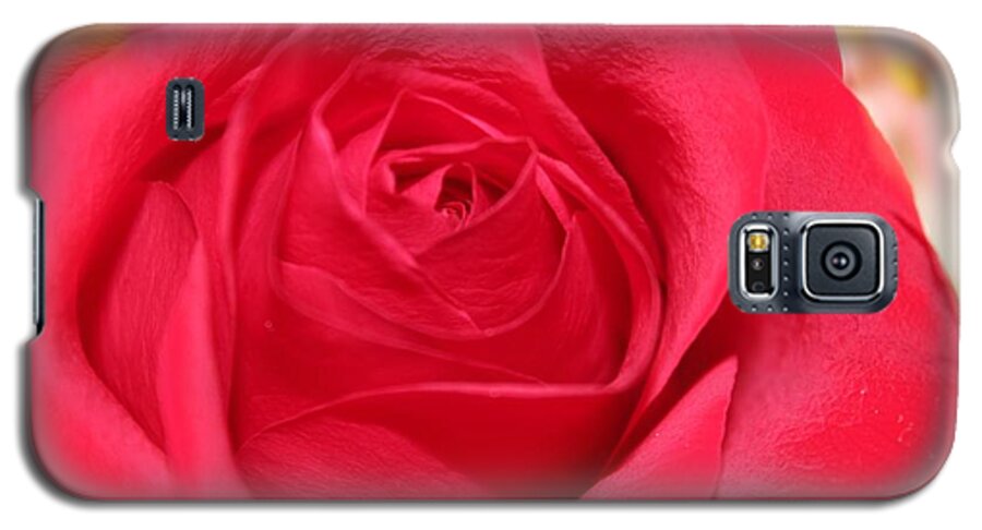 Rose Galaxy S5 Case featuring the photograph With Love by Judy Palkimas