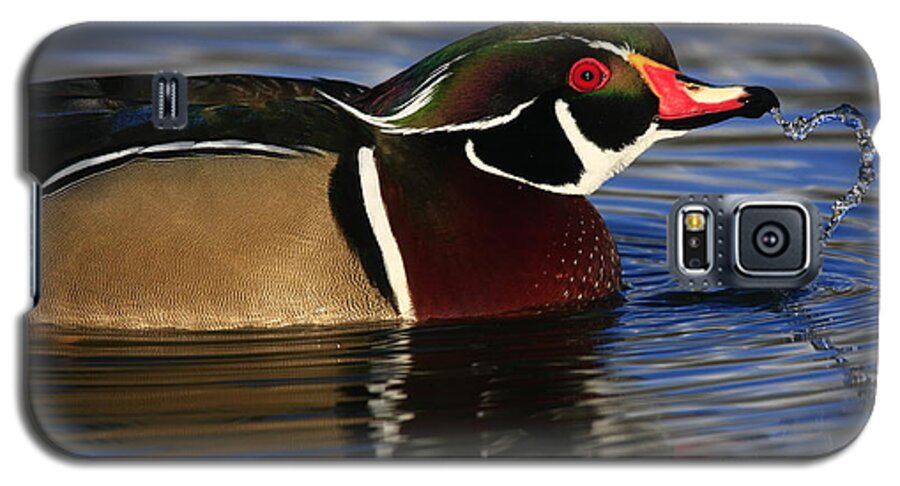 Duck Galaxy S5 Case featuring the photograph Wood Duck Waterdrops by John F Tsumas