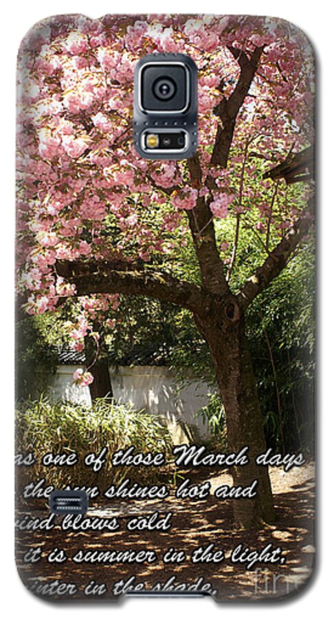 Tree Galaxy S5 Case featuring the photograph Words Of The Seasons by Dawn Gari