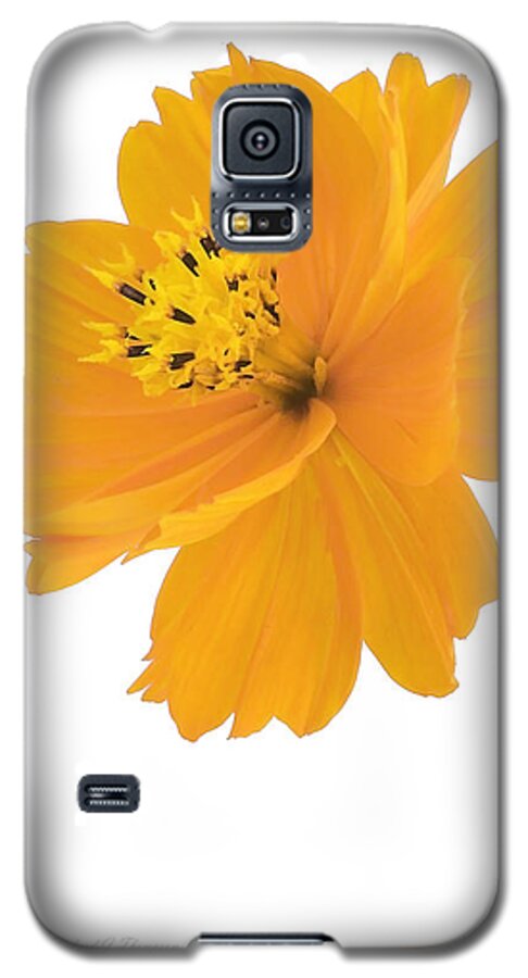 Vertical Galaxy S5 Case featuring the photograph Yellow Coreopsis by Richard J Thompson 
