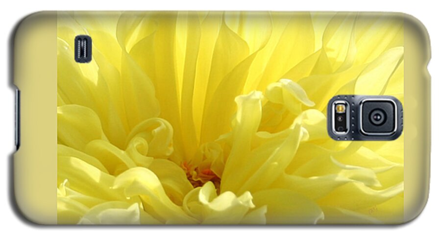 Floral Abstract Galaxy S5 Case featuring the photograph Yellow Dahlia Burst by Ben and Raisa Gertsberg
