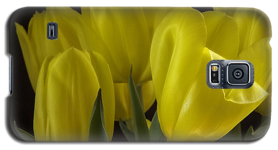 Tulips Galaxy S5 Case featuring the photograph Yellow Silk by Lucinda Walter