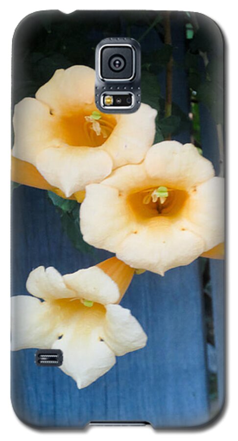 Trumpet Flower Galaxy S5 Case featuring the photograph Yellow Trumpet Blooms 03 by Tony Grider