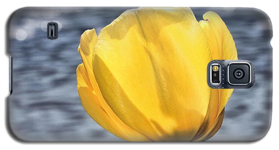 Yellow Tulip Galaxy S5 Case featuring the photograph Yellow Tulip Shimmering Water by Tracie Schiebel