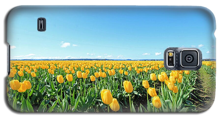 Skagit Tulip Fesitival 2013 Galaxy S5 Case featuring the photograph Yellow Tulips by E Faithe Lester