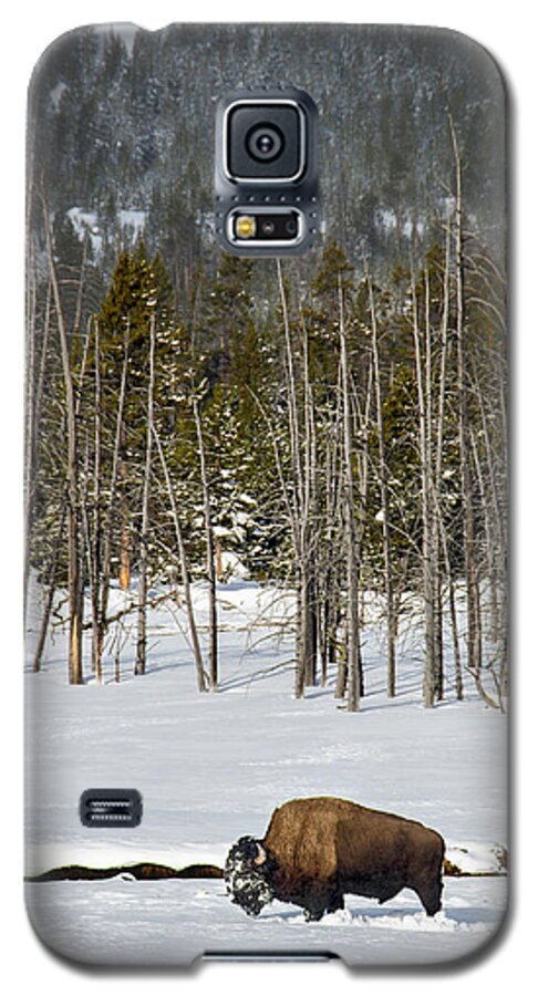 Yellowstone National Park Galaxy S5 Case featuring the photograph Yellowstone Winter by Alan Toepfer