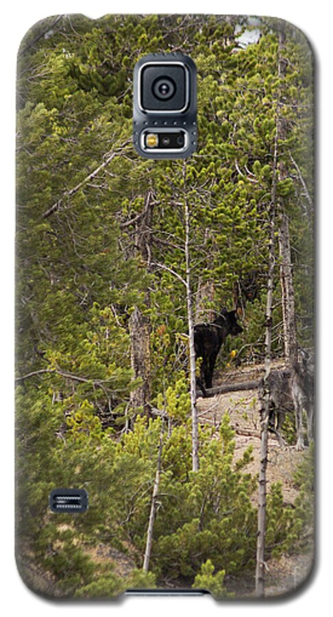 Wolves Galaxy S5 Case featuring the photograph Yellowstone Wolves by Belinda Greb