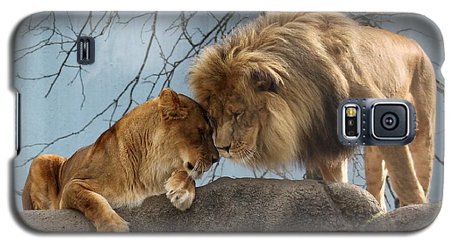 Big Cats Galaxy S5 Case featuring the photograph You Are My Love by Ramabhadran Thirupattur