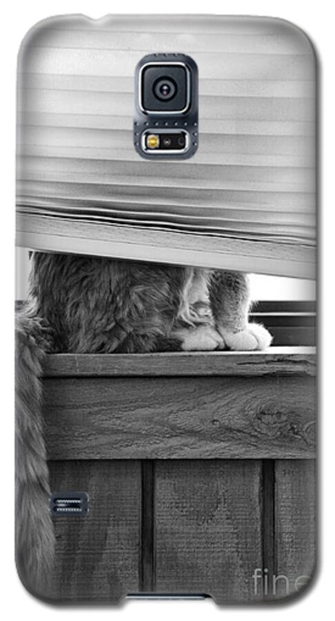 Feline Galaxy S5 Case featuring the photograph You Can't See Me by Karen Slagle