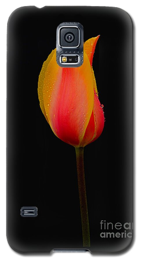 Pacific Galaxy S5 Case featuring the photograph You're The One by Nick Boren