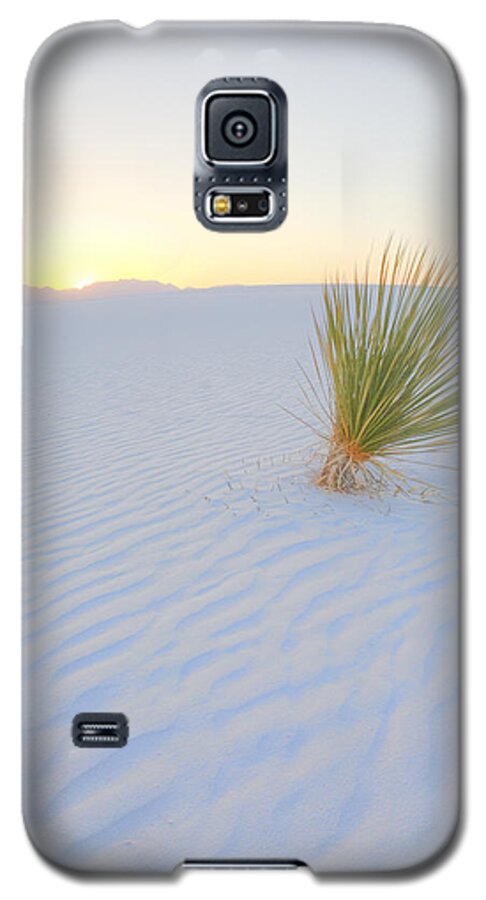 White Sands Galaxy S5 Case featuring the photograph Yucca Plant at White Sands by Alan Vance Ley