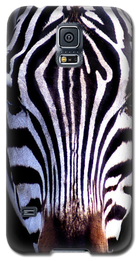 Zebra Galaxy S5 Case featuring the photograph ZEB by Skip Willits