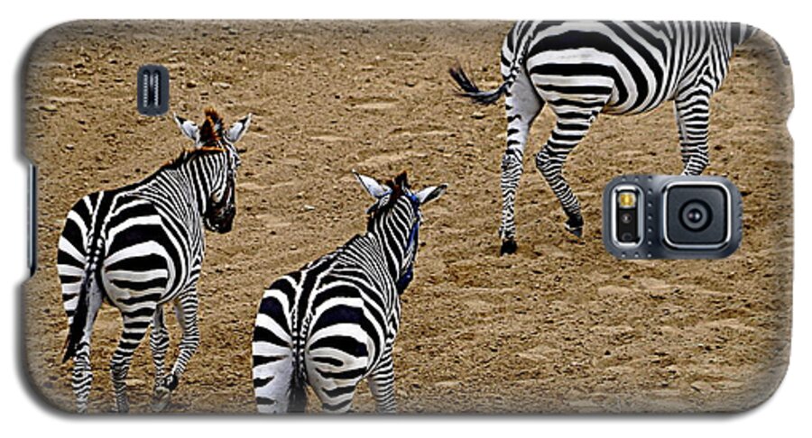 Wildlife Galaxy S5 Case featuring the photograph Zebra Tails by AJ Schibig