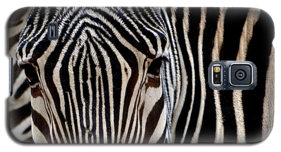 Zebra Galaxy S5 Case featuring the photograph Zebras Face to Face by Nadalyn Larsen