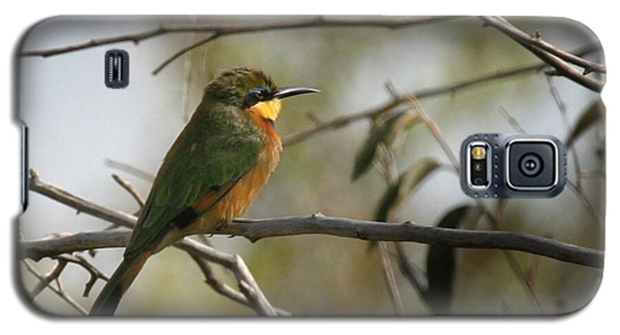 Yellow Throated Bee Eater Galaxy S5 Case featuring the photograph African Bee Eater #1 by Joseph G Holland